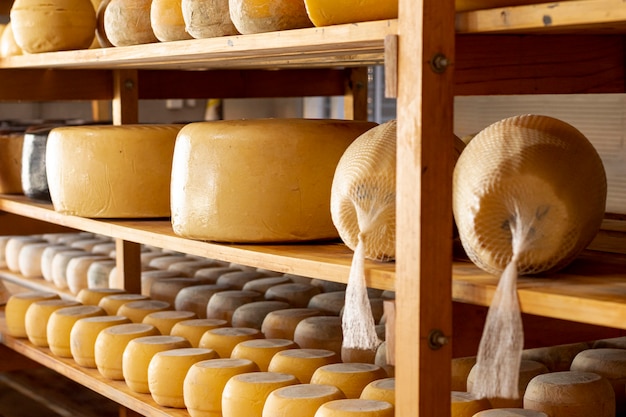 Rodas de queijo orgânico delicioso
