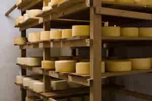 Foto grátis rolos de queijo francês diferentes dentro de casa
