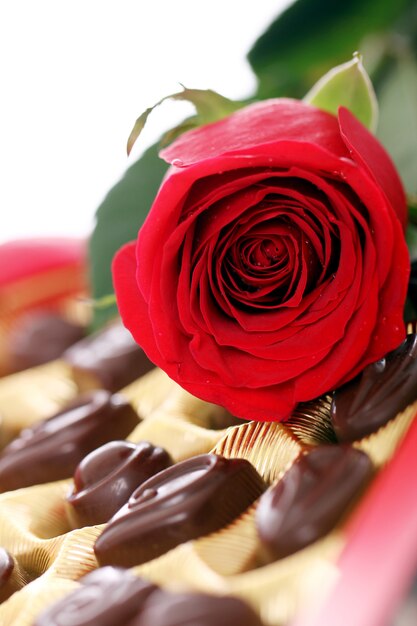 Rosa vermelha e bombons de chocolate