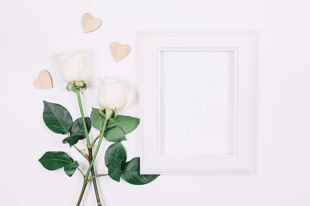 Rosas brancas com um quadro