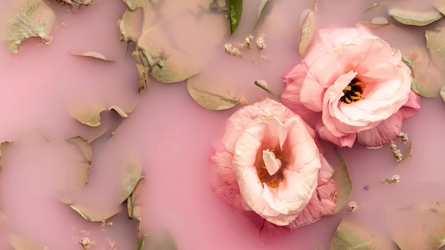 Rosas cor de rosa na água rosa