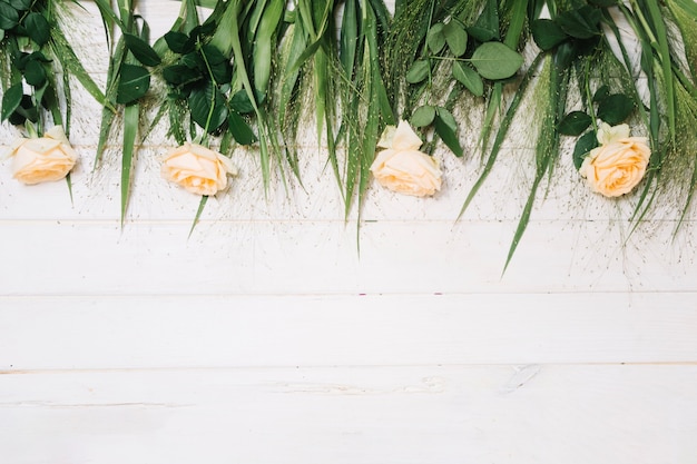 Foto grátis rosas e grama verde