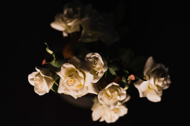 Foto grátis rosas elegantes em pote