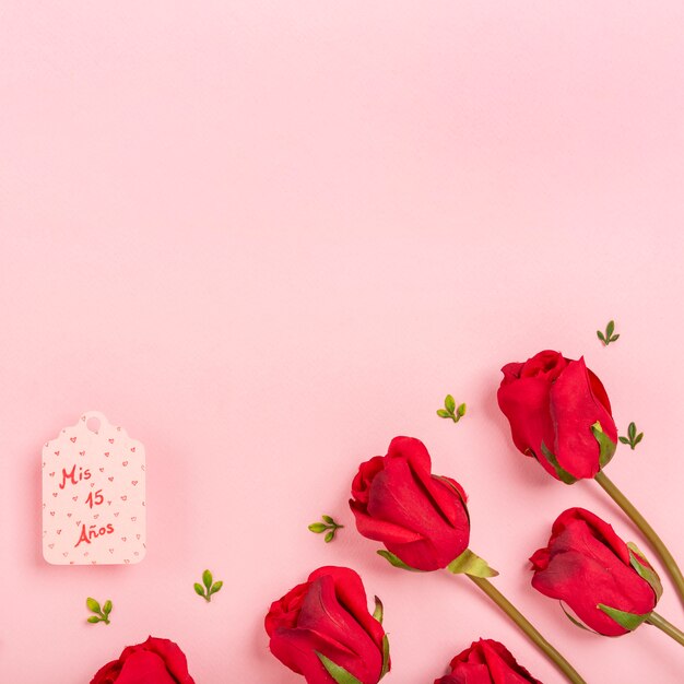 Rosas em fundo rosa com espaço de cópia