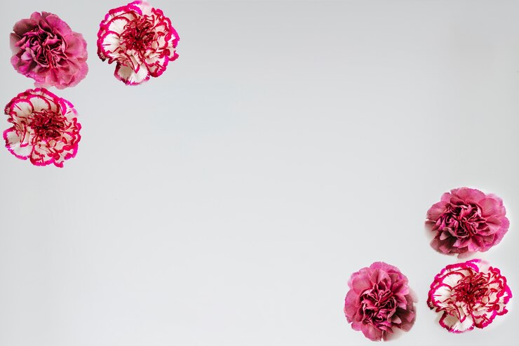 Foto grátis rosas nos cantos