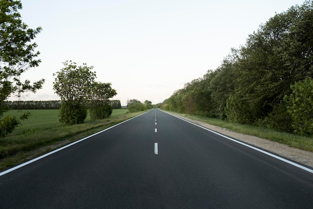 Rua vazia e belas árvores