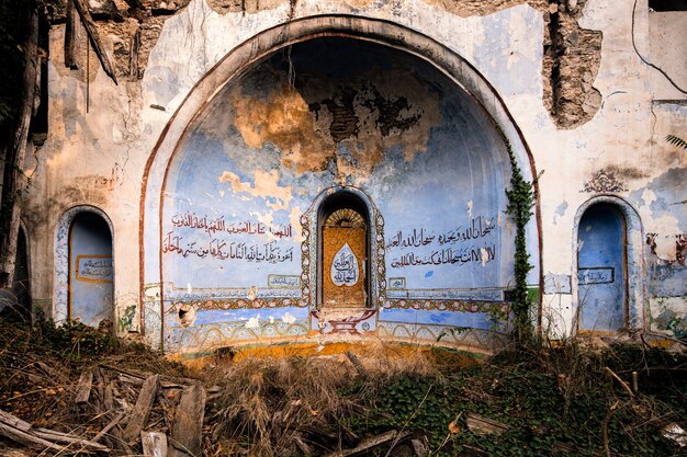 Ruínas de mesquita azul e amarela cercadas por vegetação e madeira no leste da Turquia