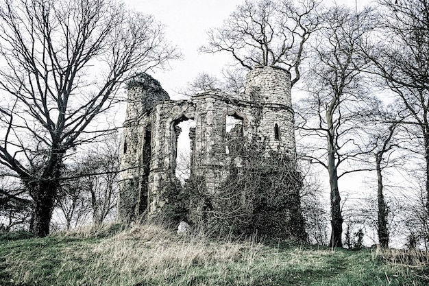 Ruínas do antigo castelo em uma floresta inglesa