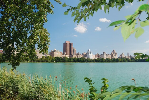 Árvores do lago Central Park