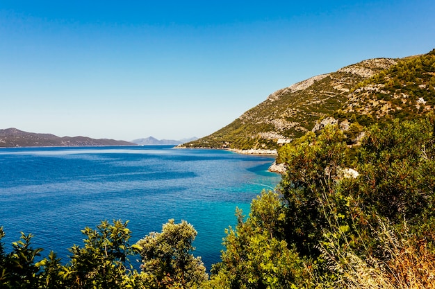 Árvores e montanhas perto do lago idílico