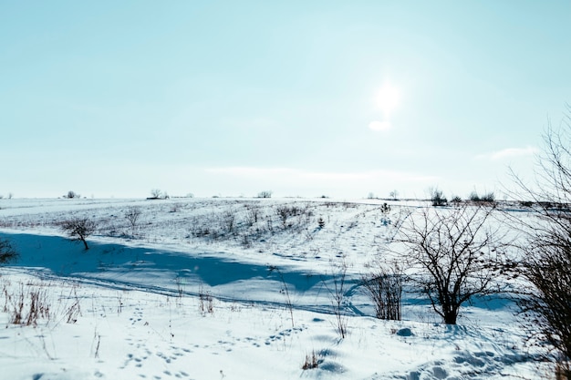 Árvores nuas na paisagem de montanha nevado contra o céu azul