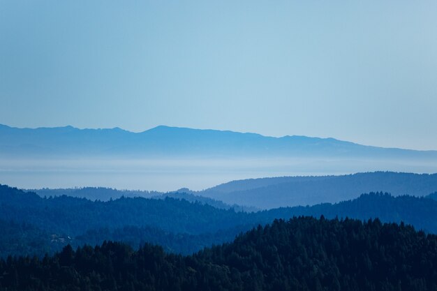 Árvores verdes na montanha sob um céu branco durante o dia