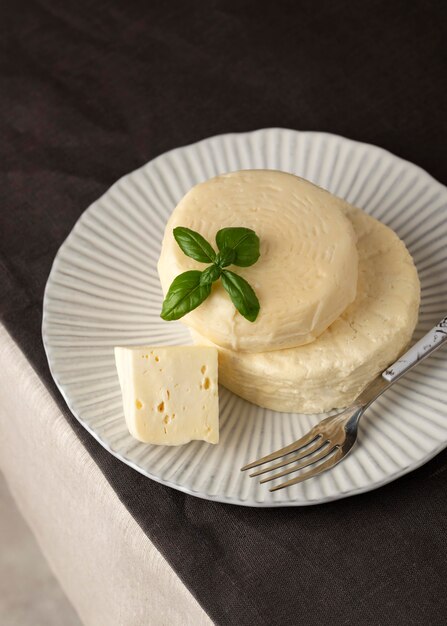 Saborosa composição de queijo paneer