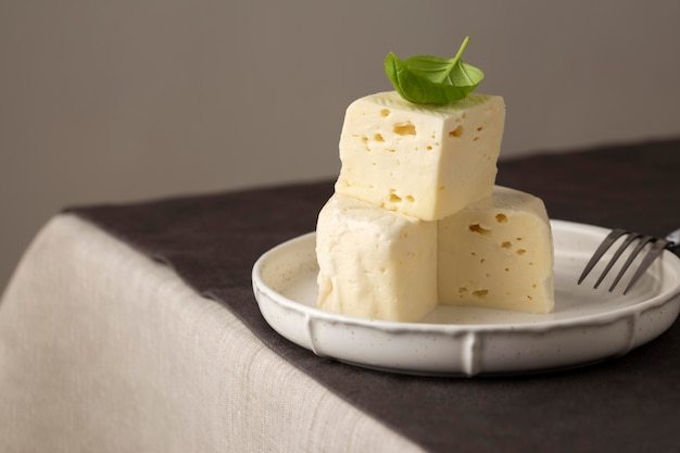 Foto grátis saborosa composição de queijo paneer