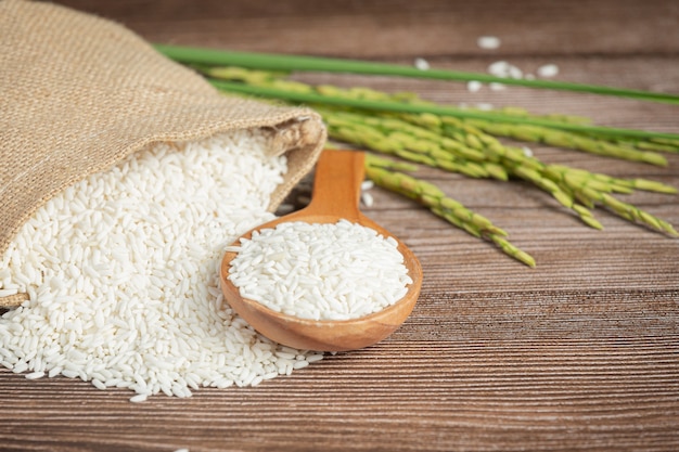 Saco de arroz com arroz na colher de pau e planta de arroz