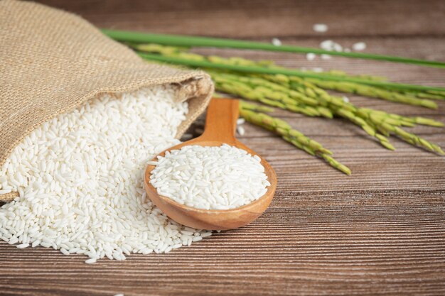 Saco de arroz com arroz na colher de pau e planta de arroz