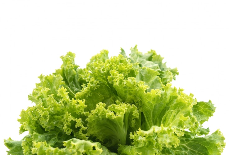 Foto grátis salada fresca