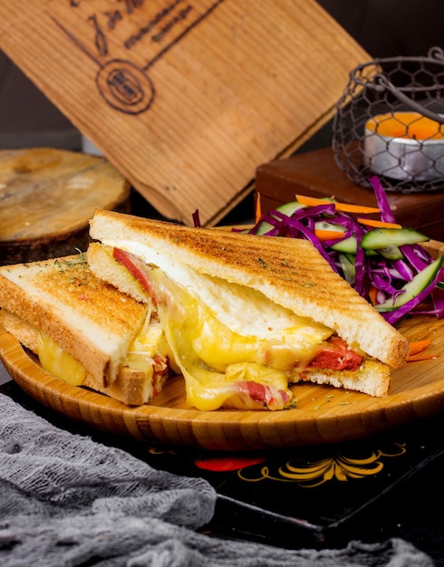 Foto grátis sanduíche com queijo derretido servido com salada