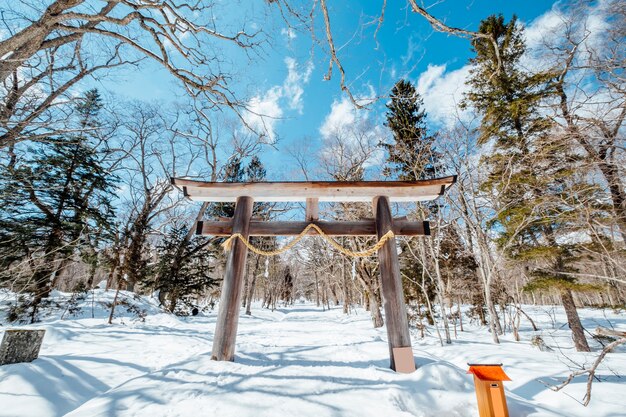 Santuário da entrada da porta de Japão Torii na cena da neve, Japão