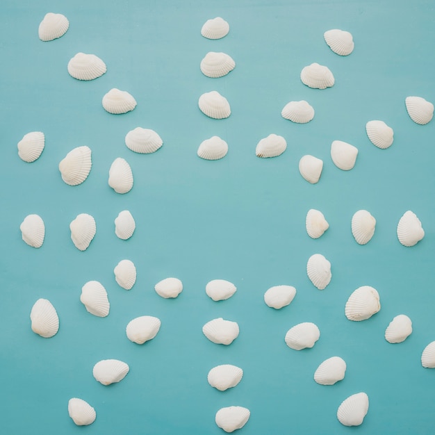 Seashells brancos no fundo azul
