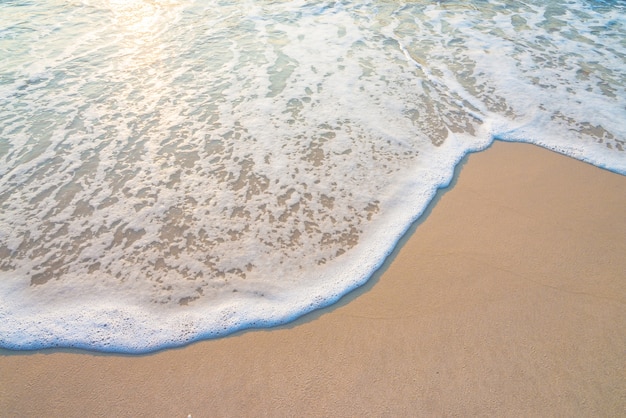 Foto grátis seashore com mar calmo