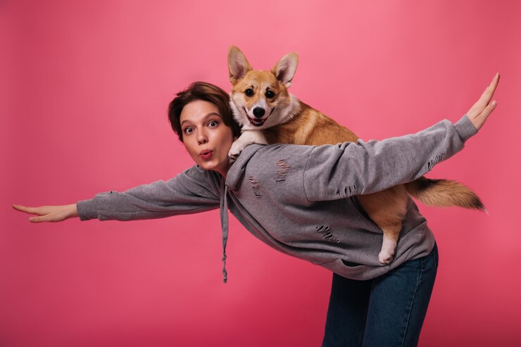 Foto grátis senhora de cabelos curtos com capuz segura e brinca com o cachorro. mulher legal em poses de moletom cinza e jeans com corgi em fundo rosa isolado