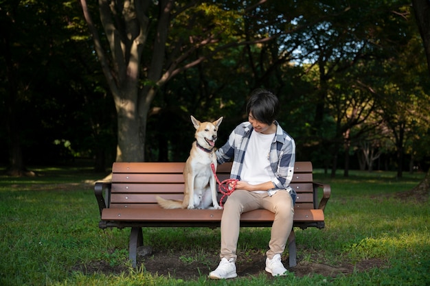 Shiba inu cachorro dando um passeio