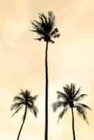 Foto grátis silhouette palmeira na praia e mar em torno de bela piscina de luxo no pôr do sol - filtro vintage e impulso de processamento de cores