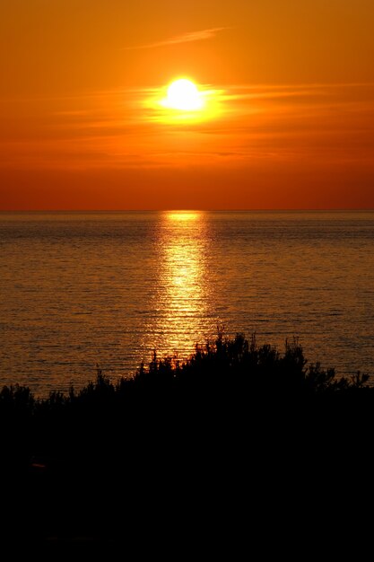 Silhueta de árvores com o mar refletindo o sol e um céu laranja