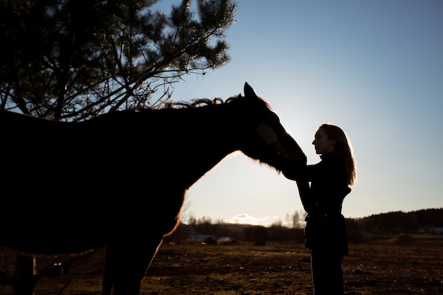 Foto grátis silhueta de cavalo elegante contra o céu do amanhecer