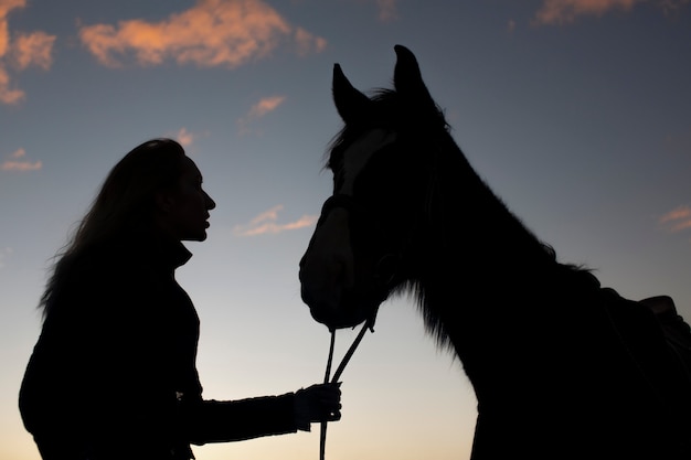 Silhueta de cavalo elegante contra o céu do amanhecer