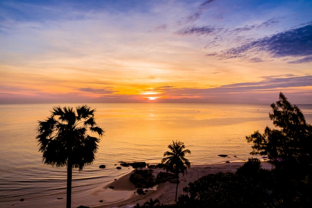 Silhueta de coqueiro com mar e praia