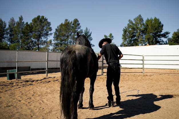 Silhueta de cowboy com cavalo contra luz quente