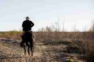 Foto grátis silhueta de cowboy com cavalo contra luz quente