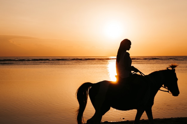 Silhueta de mulher jovem, montando a cavalo na praia durante o pôr do sol colorido dourado perto do mar