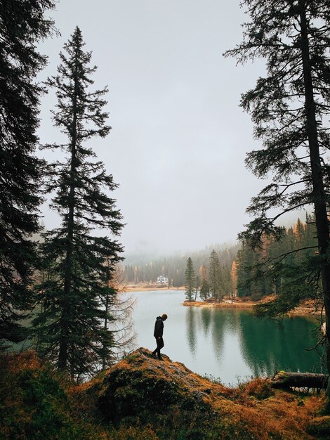 Silhueta de um homem caminhando na floresta perto de um lago durante o nevoeiro