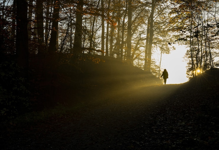 Foto grátis silhueta de uma pessoa caminhando por um caminho entre árvores durante o dia