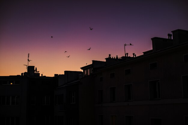 Silhuetas dos edifícios com o céu púrpura do pôr do sol