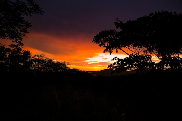 Silueta, de, árvores, e, montanha, durante, pôr do sol, em, floresta tropical