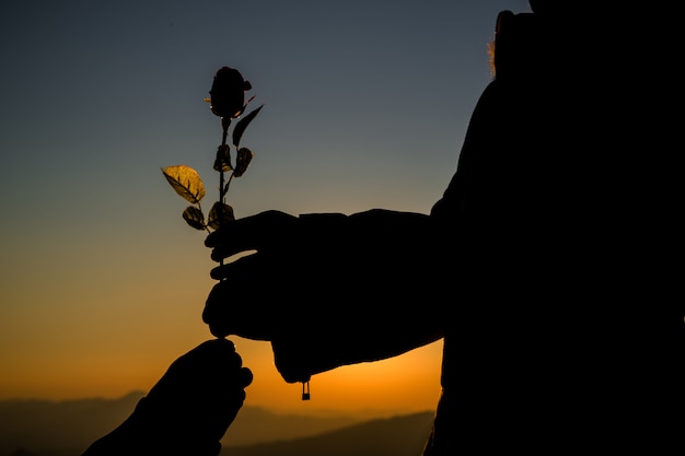 Silueta, de, par, segurando, rosa, ligado, colina, em, a, pôr do sol, tempo, skyline, ligado, fundo