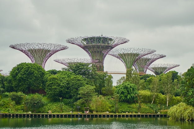 singapore viver moderna maravilhosa incrível