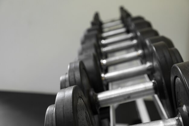 Sinos idiotas alinhados em um estúdio de fitness. A foto é um foco curto