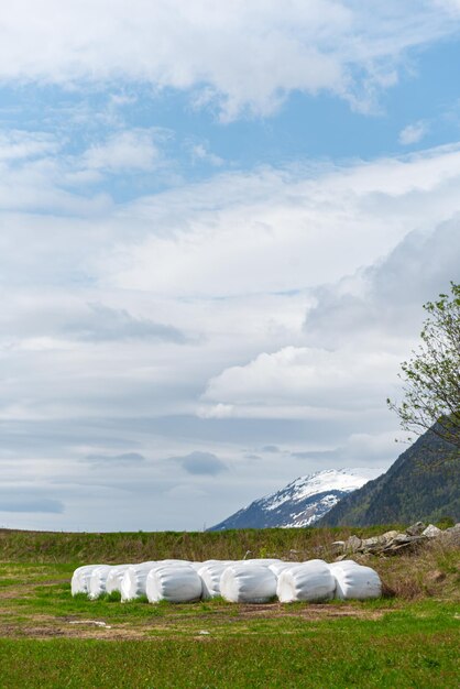 Foto grátis skjolden noruega 16 de maio de 2023 montanha