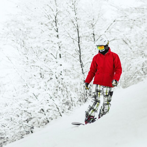 Snowboarder fica na colina cercada por uma floresta