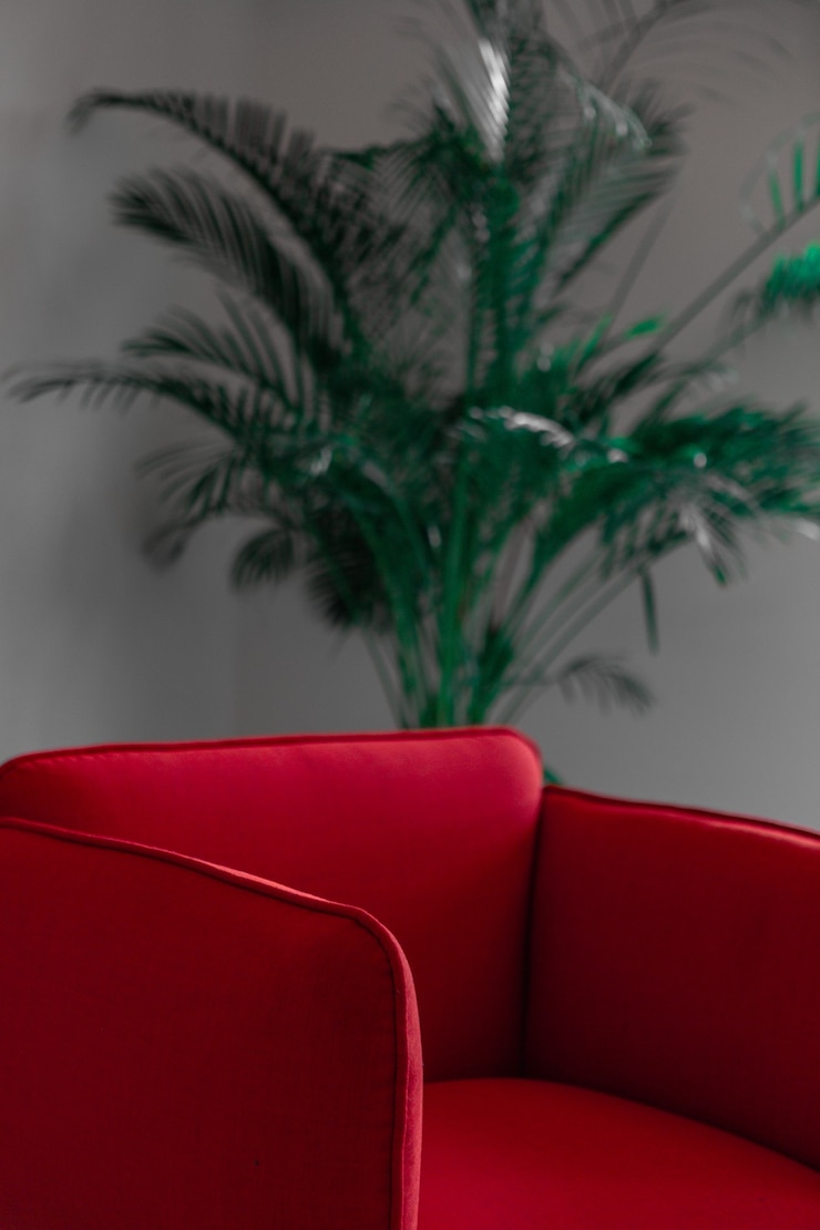 Foto grátis sofá de couro vermelho perto da planta verde