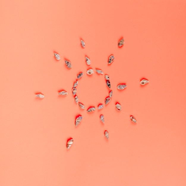 Foto grátis sol, feito com pequenas conchas conch contra o pano de fundo coral