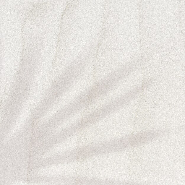 Sombra de folha de palmeira em um plano de fundo texturizado de areia com espaço de cópia