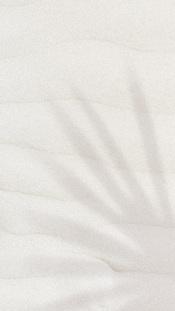 Sombra de folha de palmeira em um plano de fundo texturizado de areia com espaço de cópia