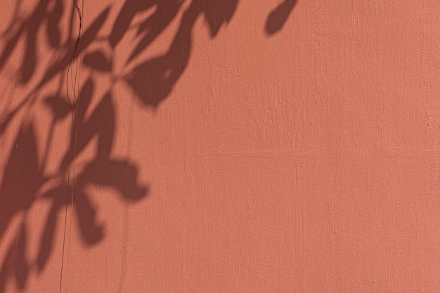 Sombra de folhas em uma parede laranja