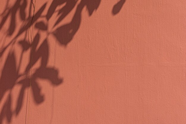 Sombra de folhas em uma parede laranja